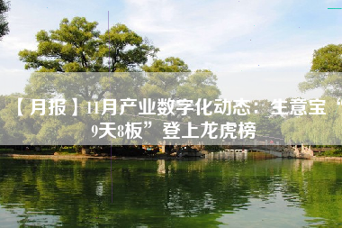 【月报】11月产业数字化动态：生意宝“9天8板”登上龙虎榜