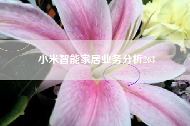小米智能家居业务分析263