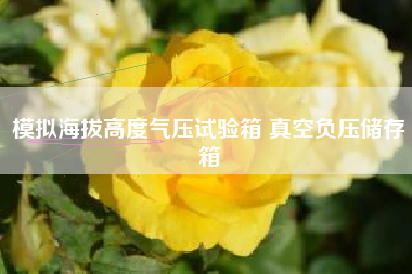模拟海拔高度气压试验箱 真空负压储存箱