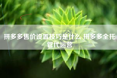 拼多多售价设置技巧是什么 拼多多全托管代运营