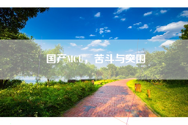 国产MCU，苦斗与突围