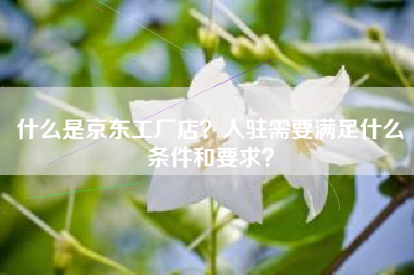 什么是京东工厂店？入驻需要满足什么条件和要求？
