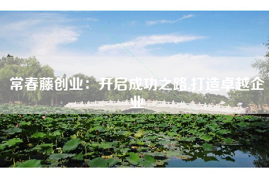 常春藤创业：开启成功之路,打造卓越企业