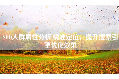 SEO人群属性分析,精准定位，提升搜索引擎优化效果