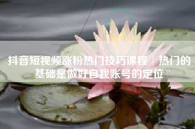 抖音短视频涨粉热门技巧课程│热门的基础是做好自我账号的定位