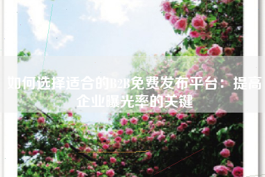 如何选择适合的B2B免费发布平台：提高企业曝光率的关键