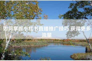 如何掌握小红书直播推广技巧 获得更多流量