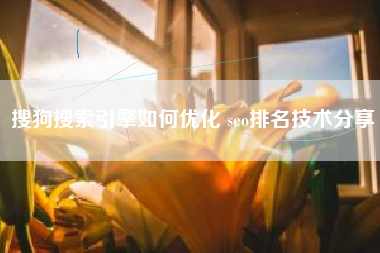 搜狗搜索引擎如何优化 seo排名技术分享