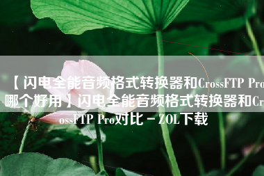 【闪电全能音频格式转换器和CrossFTP Pro哪个好用】闪电全能音频格式转换器和CrossFTP Pro对比－ZOL下载