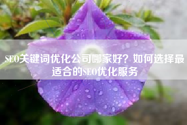 SEO关键词优化公司哪家好？如何选择最适合的SEO优化服务