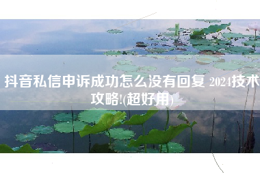 抖音私信申诉成功怎么没有回复 2024技术攻略!(超好用)