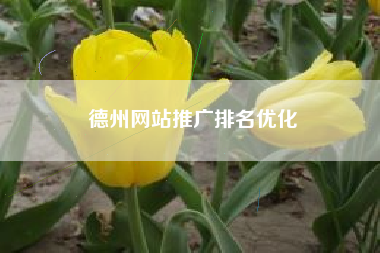 德州网站推广排名优化