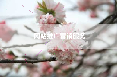 网站推广营销服务