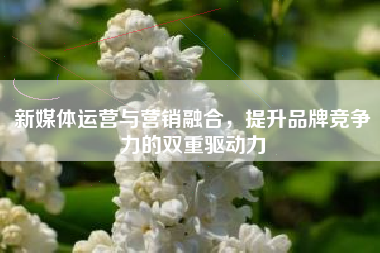 新媒体运营与营销融合，提升品牌竞争力的双重驱动力