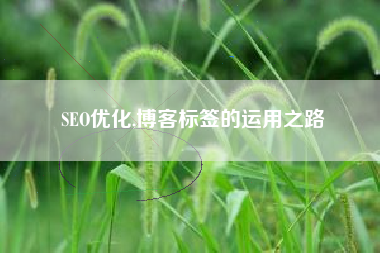 SEO优化,博客标签的运用之路