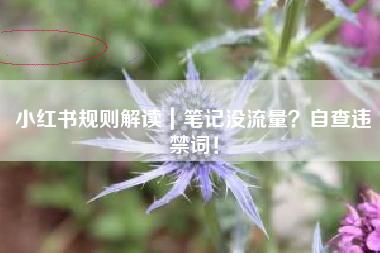 小红书规则解读｜笔记没流量？自查违禁词！