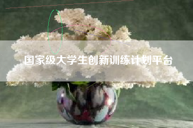 国家级大学生创新训练计划平台 国家级大学生创新训练计划平台