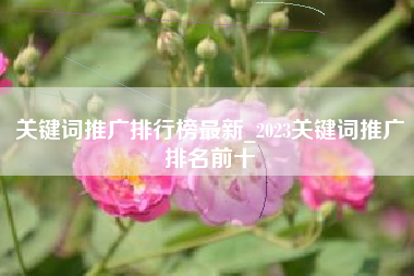 关键词推广排行榜最新_2023关键词推广排名前十