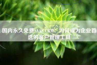 国内永久免费SAAS CRM：为何成为企业首选的客户管理工具