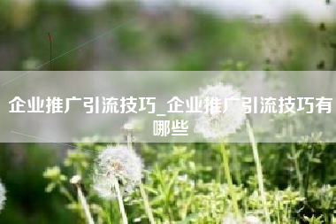 企业推广引流技巧_企业推广引流技巧有哪些