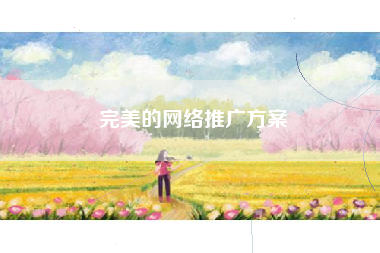 完美的网络推广方案