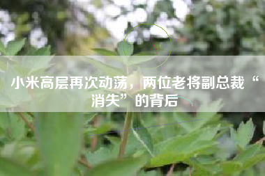 小米高层再次动荡，两位老将副总裁“消失”的背后