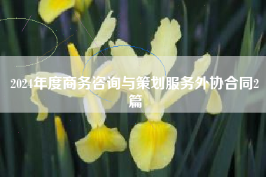 2024年度商务咨询与策划服务外协合同2篇