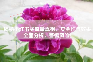 揭秘小红书买流量真相，安全性与效果全面分析，警惕风险！