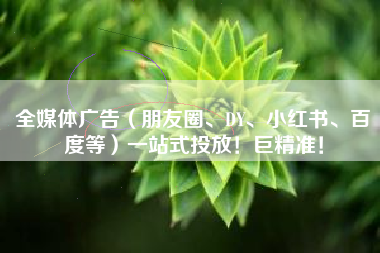 全媒体广告（朋友圈、DY、小红书、百度等）一站式投放！巨精准！