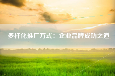 多样化推广方式：企业品牌成功之道