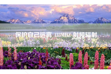 保护自己远离 433MHZ 射频辐射