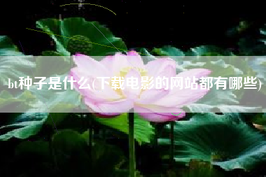 bt种子是什么(下载电影的网站都有哪些)