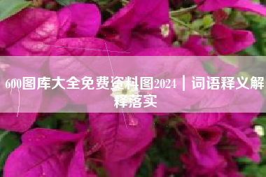 600图库大全免费资料图2024｜词语释义解释落实