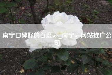 南宁口碑好的百度seo_南宁seo网站推广公司