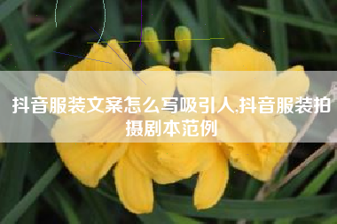 抖音服装文案怎么写吸引人,抖音服装拍摄剧本范例