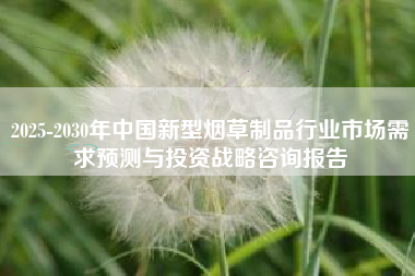 2025-2030年中国新型烟草制品行业市场需求预测与投资战略咨询报告