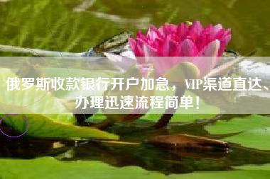 俄罗斯收款银行开户加急，VIP渠道直达、办理迅速流程简单！