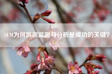 SEM为何数据监测与分析是成功的关键？