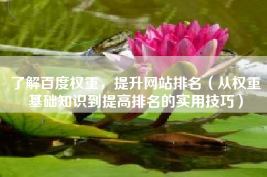 了解百度权重，提升网站排名（从权重基础知识到提高排名的实用技巧）
