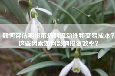 如何评估期货市场的流动性和交易成本？这些因素如何影响投资效率？