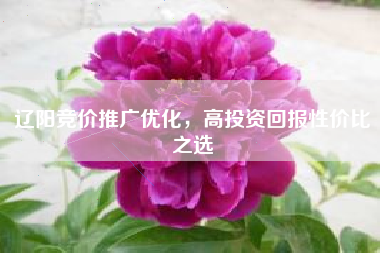 辽阳竞价推广优化，高投资回报性价比之选