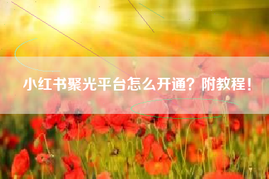 小红书聚光平台怎么开通？附教程！