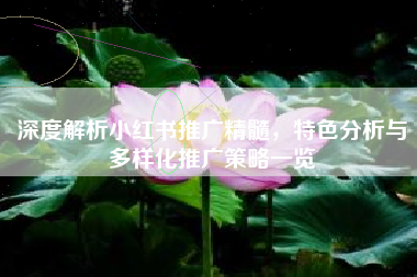 深度解析小红书推广精髓，特色分析与多样化推广策略一览