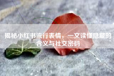 揭秘小红书流行表情，一文读懂隐藏的含义与社交密码