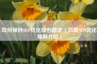 如何保持SEO优化排名稳定（百度SEO优化规则介绍）