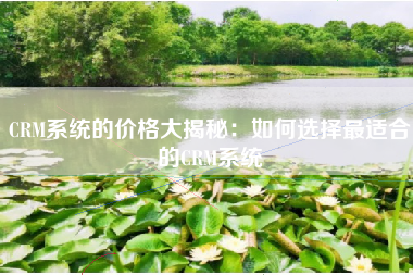 CRM系统的价格大揭秘：如何选择最适合的CRM系统
