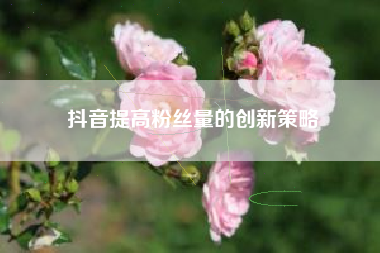 抖音提高粉丝量的创新策略