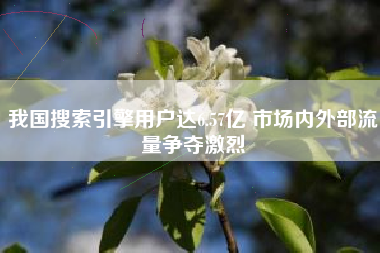 我国搜索引擎用户达6.57亿 市场内外部流量争夺激烈