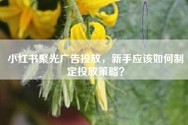 小红书聚光广告投放，新手应该如何制定投放策略？