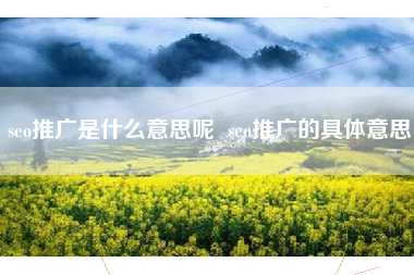 seo推广是什么意思呢  seo推广的具体意思
